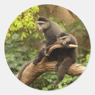 Monkey Round Sticker Runt Klistermärke