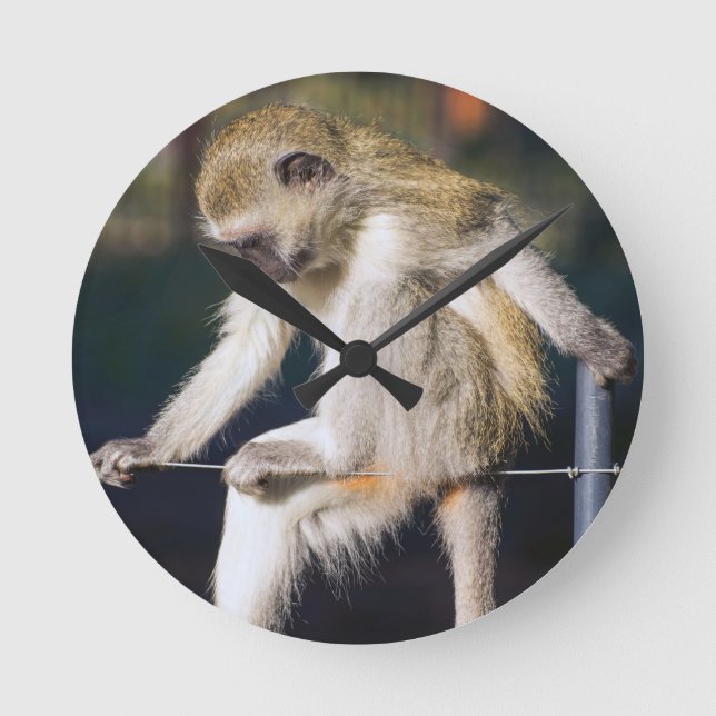 Monkey Rund Klocka (Framsida)