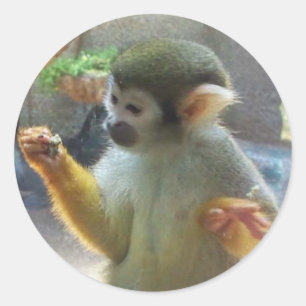Monkey Runt Klistermärke
