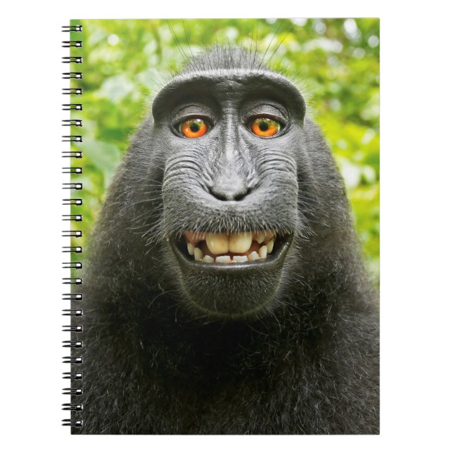 Monkey Selfie Anteckningsbok (Framsidan)
