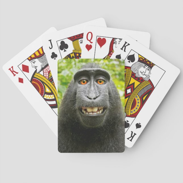 Monkey Selfie Casinokort (Baksidan)