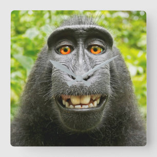 Monkey Selfie Fyrkantig Klocka