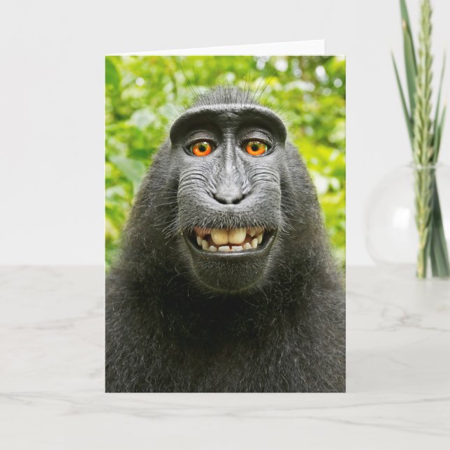 Monkey Selfie Kort (Framsida)