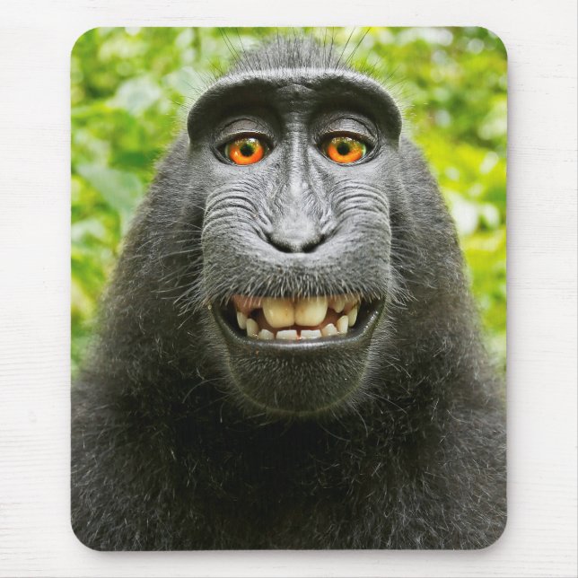Monkey Selfie Musmatta (Framsidan)