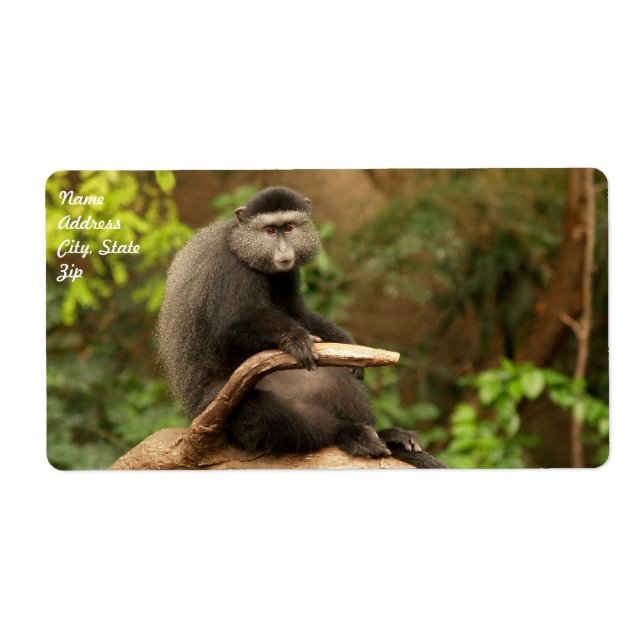 Monkey Shipping Label Fraktsedel (Framsidan)