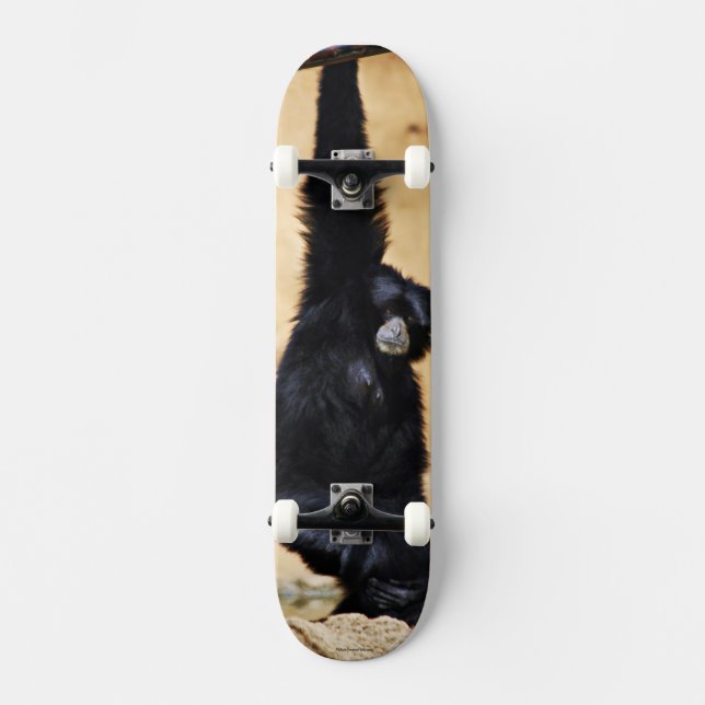 Monkey Skateboard (Framsida)