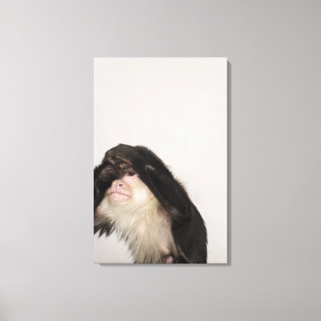Monkey som täcker dess öga canvastryck (Framsida)
