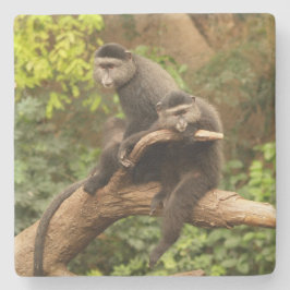 Monkey Square underlägg