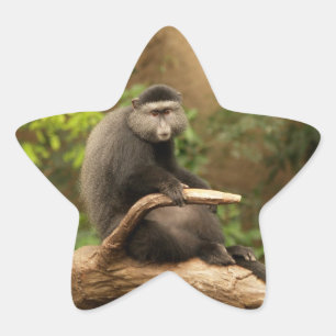 Monkey Star Sticker Stjärnformat Klistermärke