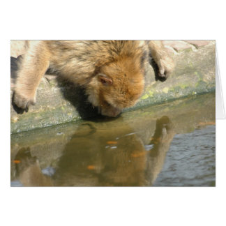Monkey tittar du på mig? hälsningskort