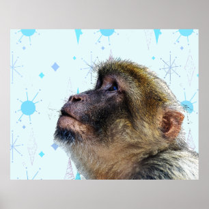 Monkey tittar på Mid Century Modern Tapet Poster