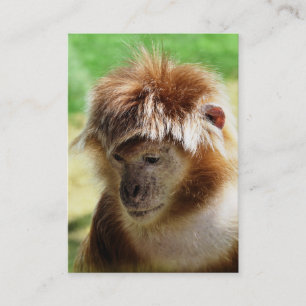 MONKEY VISITKORT