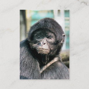 MONKEY VISITKORT