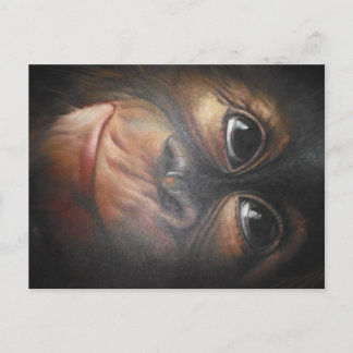Monkey-vykort Vykort