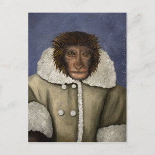 Monkey Wearing Jacka Vykort