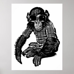 Monkey Wearing sol Glass Clothes Original Art Poster