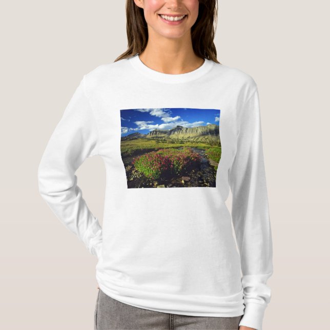 Monkeyblommor vid Logan Pass i Glacier National Tee (Framsida)