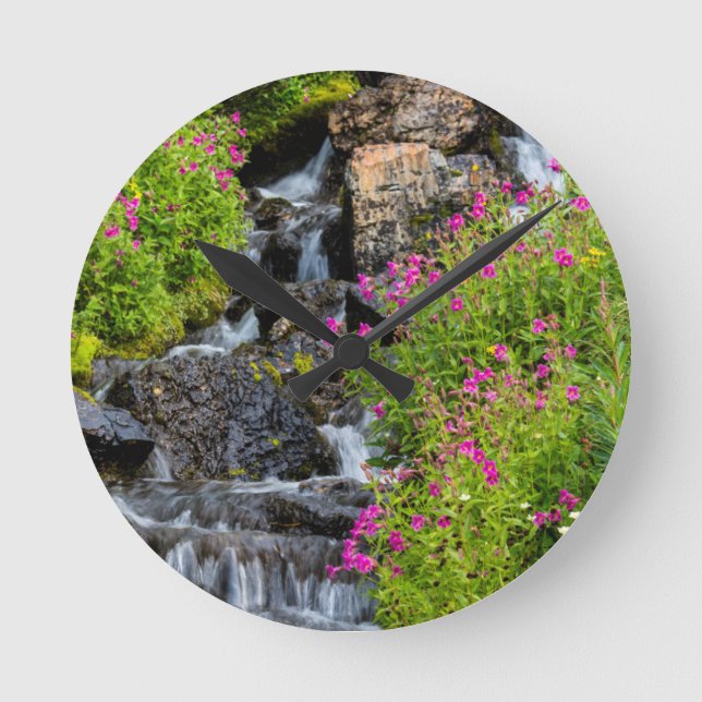 Monkeyblommor vid Lunch Bäck i Glacier Rund Klocka (Framsida)