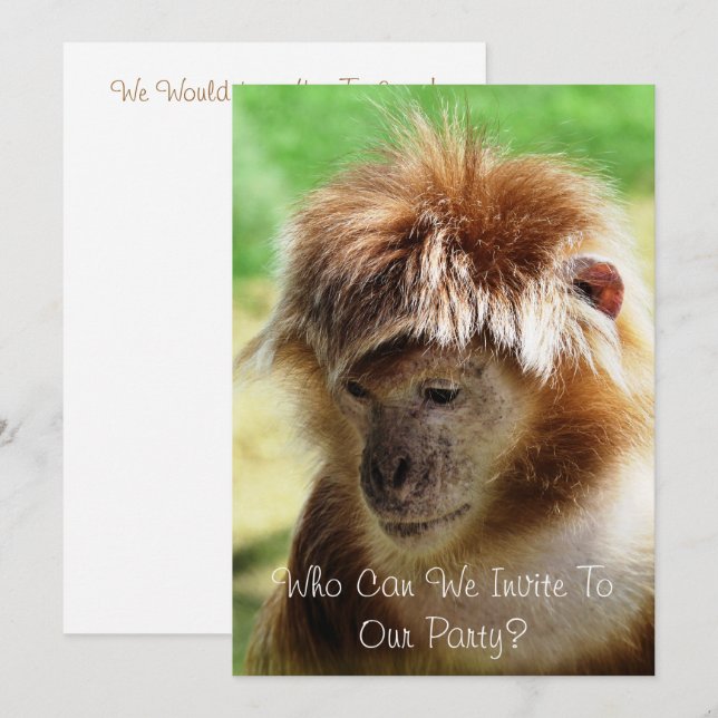 MONKEYS INBJUDNINGAR (Fram/baksida)