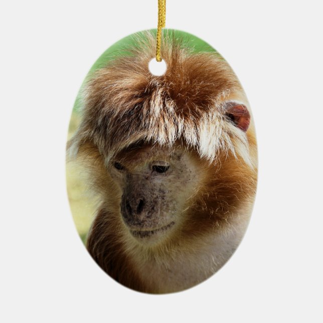 MONKEYS JULGRANSPRYDNAD KERAMIK (Framsidan)