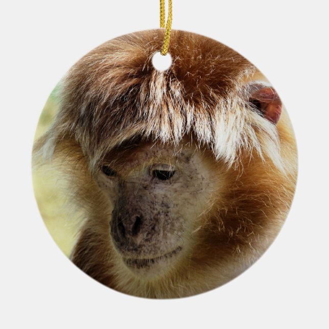 MONKEYS JULGRANSPRYDNAD KERAMIK (Framsidan)