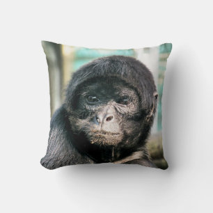 MONKEYS KUDDE