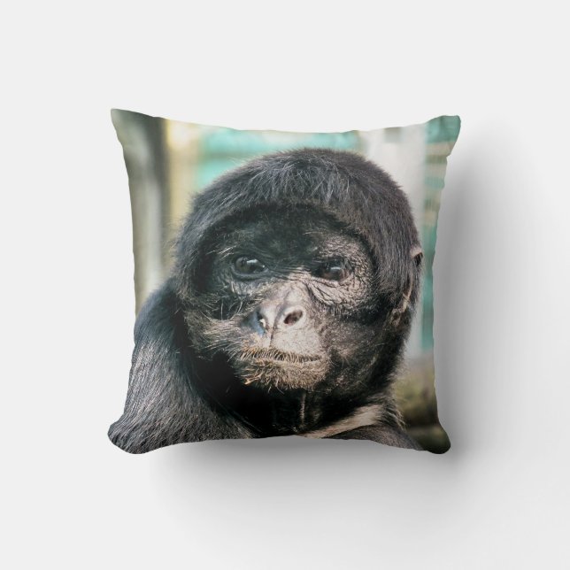 MONKEYS KUDDE (Framsida)