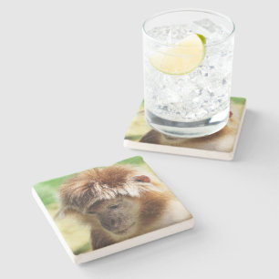 MONKEYS STENUNDERLÄGG
