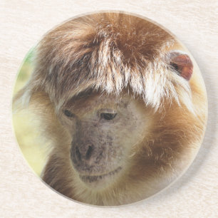 MONKEYS UNDERLÄGG