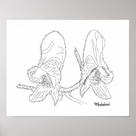 Monkshood Illustration Poster