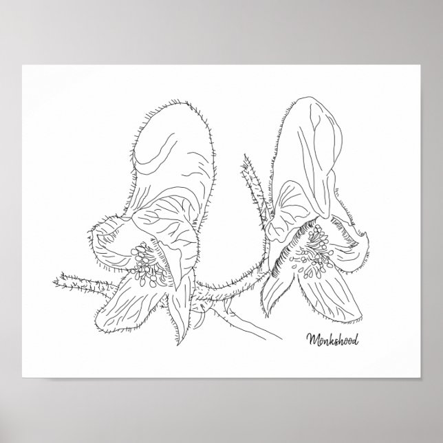 Monkshood Illustration Poster (Framsidan)