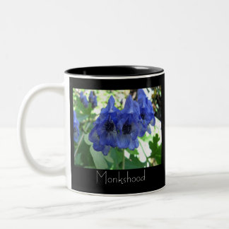 Monkshood Två-Tonad Mugg