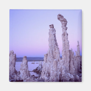 Mono Lake-reservatet. Kalifornien. USA. Tufa Magnet