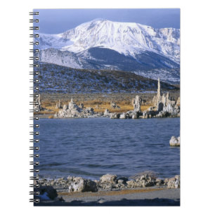 MONO LAKE TUFA STATE NATURAL RESERVE, ANTECKNINGSBOK MED SPIRAL