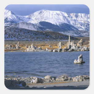 MONO LAKE TUFA STATE NATURAL RESERVE, FYRKANTIGT KLISTERMÄRKE