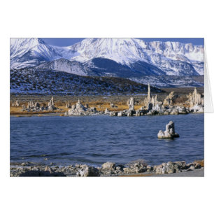 MONO LAKE TUFA STATE NATURAL RESERVE, HÄLSNINGSKORT