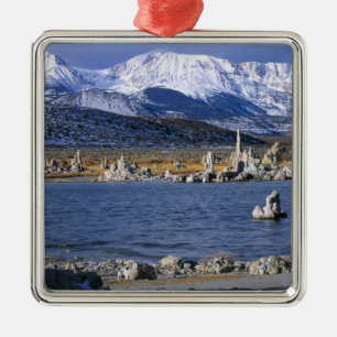 MONO LAKE TUFA STATE NATURAL RESERVE, JULGRANSPRYDNAD METALL
