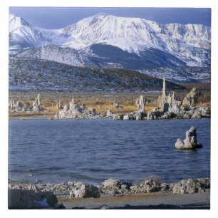 MONO LAKE TUFA STATE NATURAL RESERVE, KAKELPLATTA