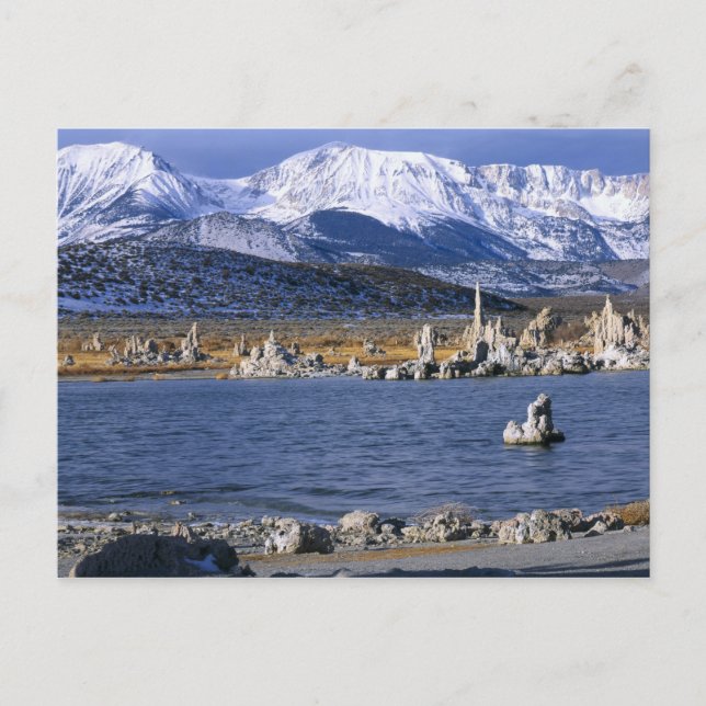 MONO LAKE TUFA STATE NATURAL RESERVE, VYKORT (Framsida)