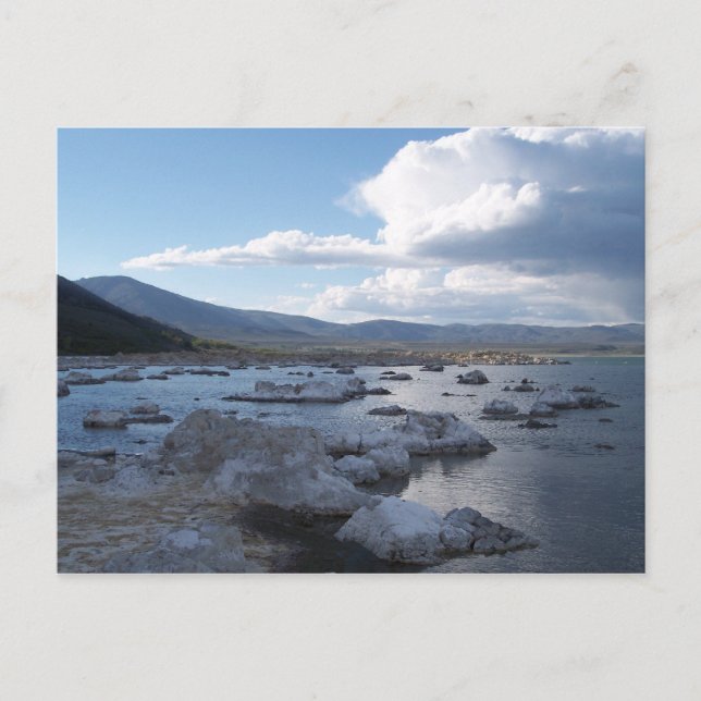 Mono Lake Vykort (Framsida)