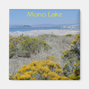 Mono sjö, CA Magnet