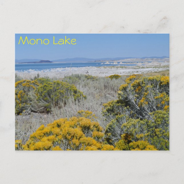 Mono Sjö, CA Vykort (Framsida)