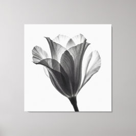 Monochrome botanical fine art photograph canvastryck