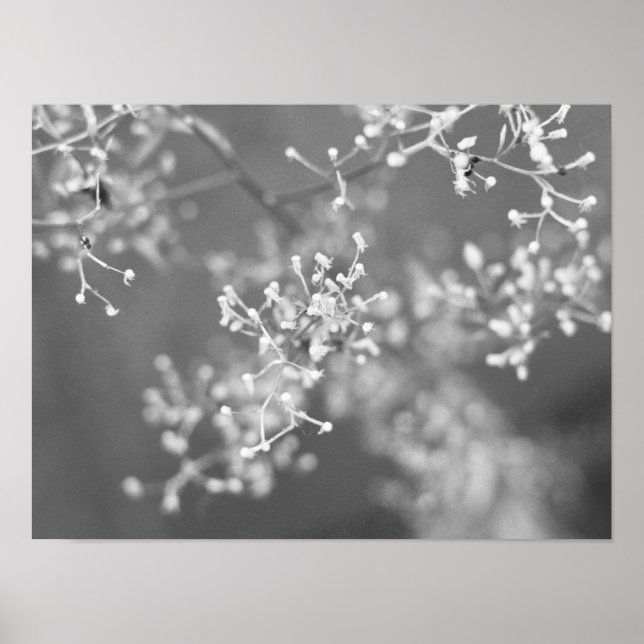 Monochrome Meadow Poster (Framsidan)
