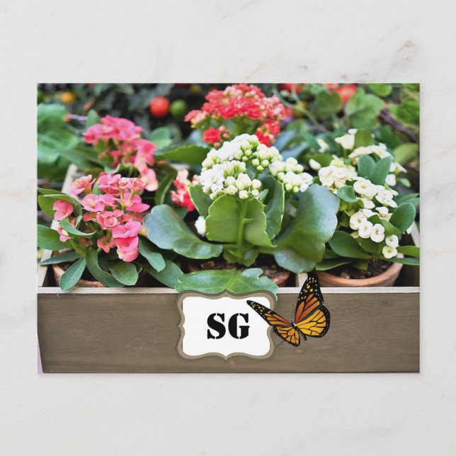 Monogram Behållare Blomsterträdgård vykort (Framsida)