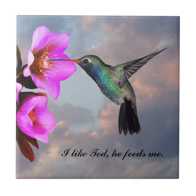 MONOGRAM HUMMINGBIRD KAKELPLATTA (Framsidan)