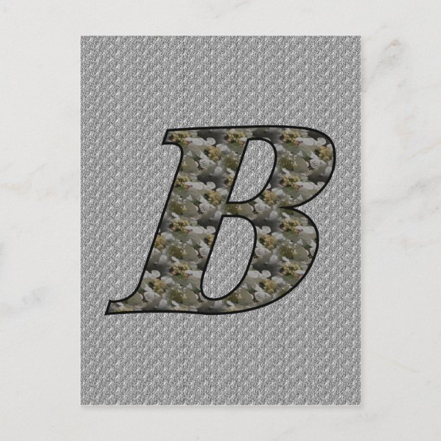 Monogram initial B Hydrangea blommor Vykort (Framsida)