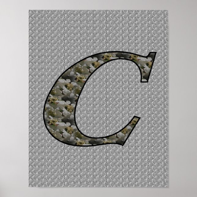 Monogram initial C Hortensia blommor Poster (Framsidan)