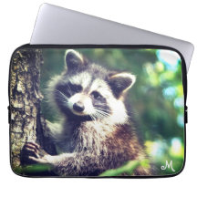 Monogram och Vild Raccoon på Jungle