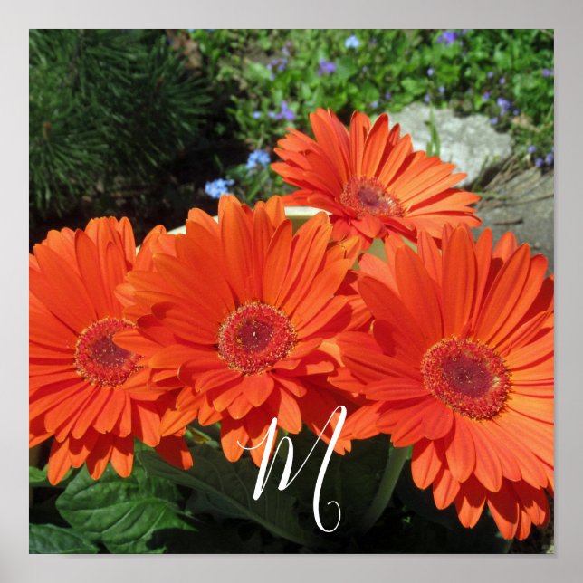 Monogram Orange Floral Photography Poster (Framsidan)